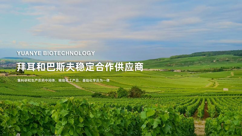 PCR检测流程揭秘：步骤详解与关键要素