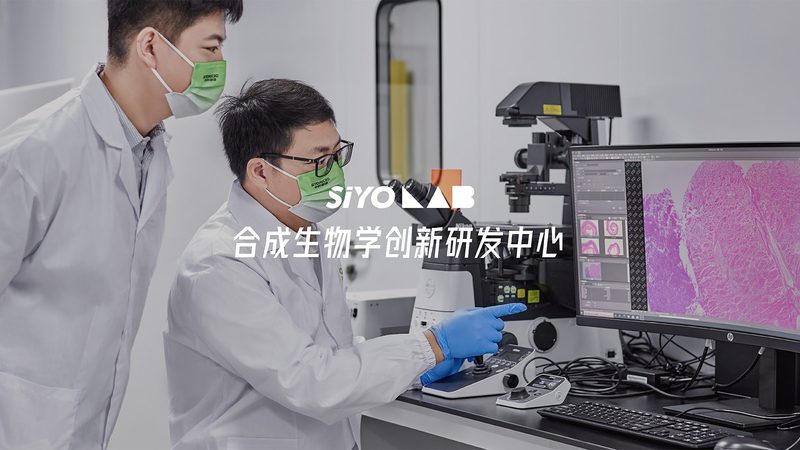 临床CRO服务费用清单：揭秘医药研发背后的成本构成