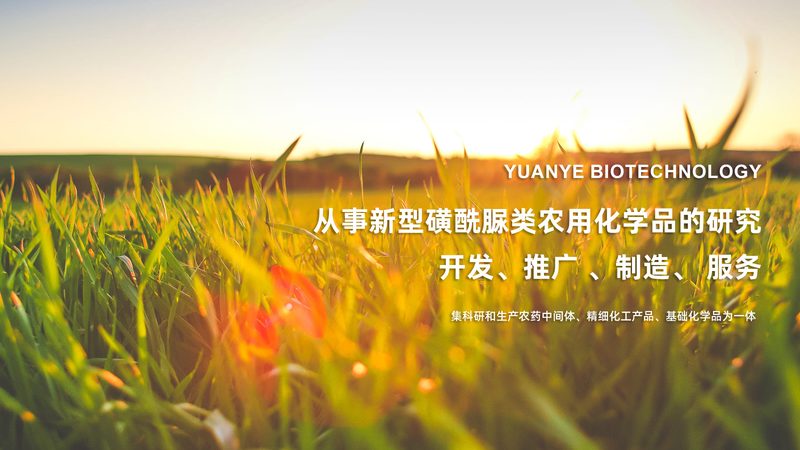 小分子CDMO价格背后的考量因素**