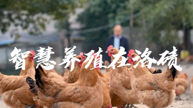 实验室耗材材质分类及区别：揭秘实验室耗材的“身份之谜