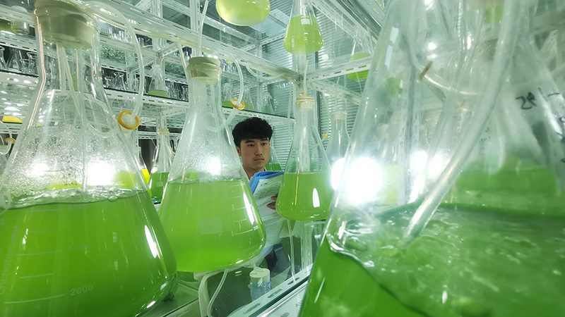 基因检测DIY采样包：基因检测新时代的便捷选择